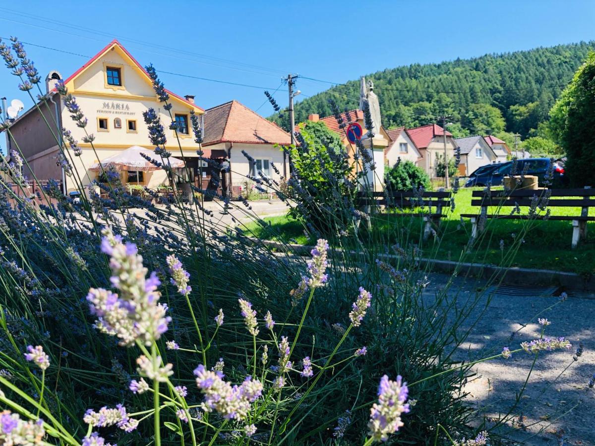 Maria Penzion & Restaurant Trencin Exterior photo