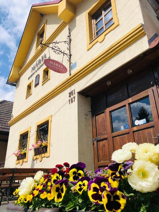 Maria Penzion & Restaurant Trencin Exterior photo